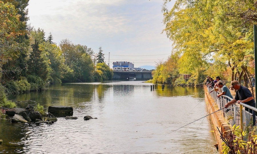 Squalicum creek, with people fishing on a sunny day